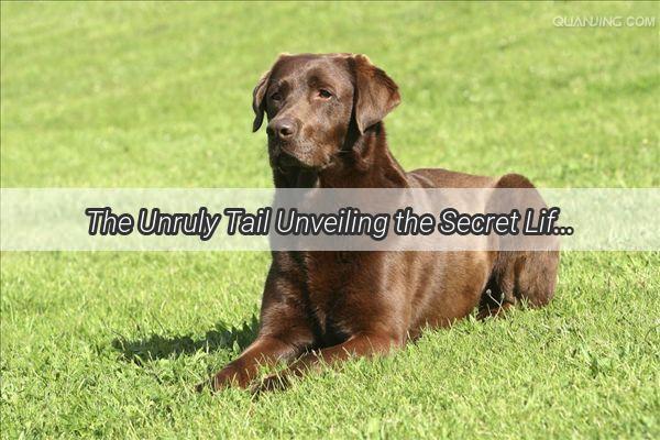 The Unruly Tail Unveiling the Secret Life of My NonWagging Pup